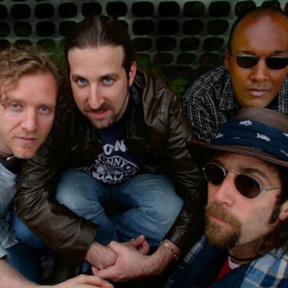 Spin Doctors CD Collection